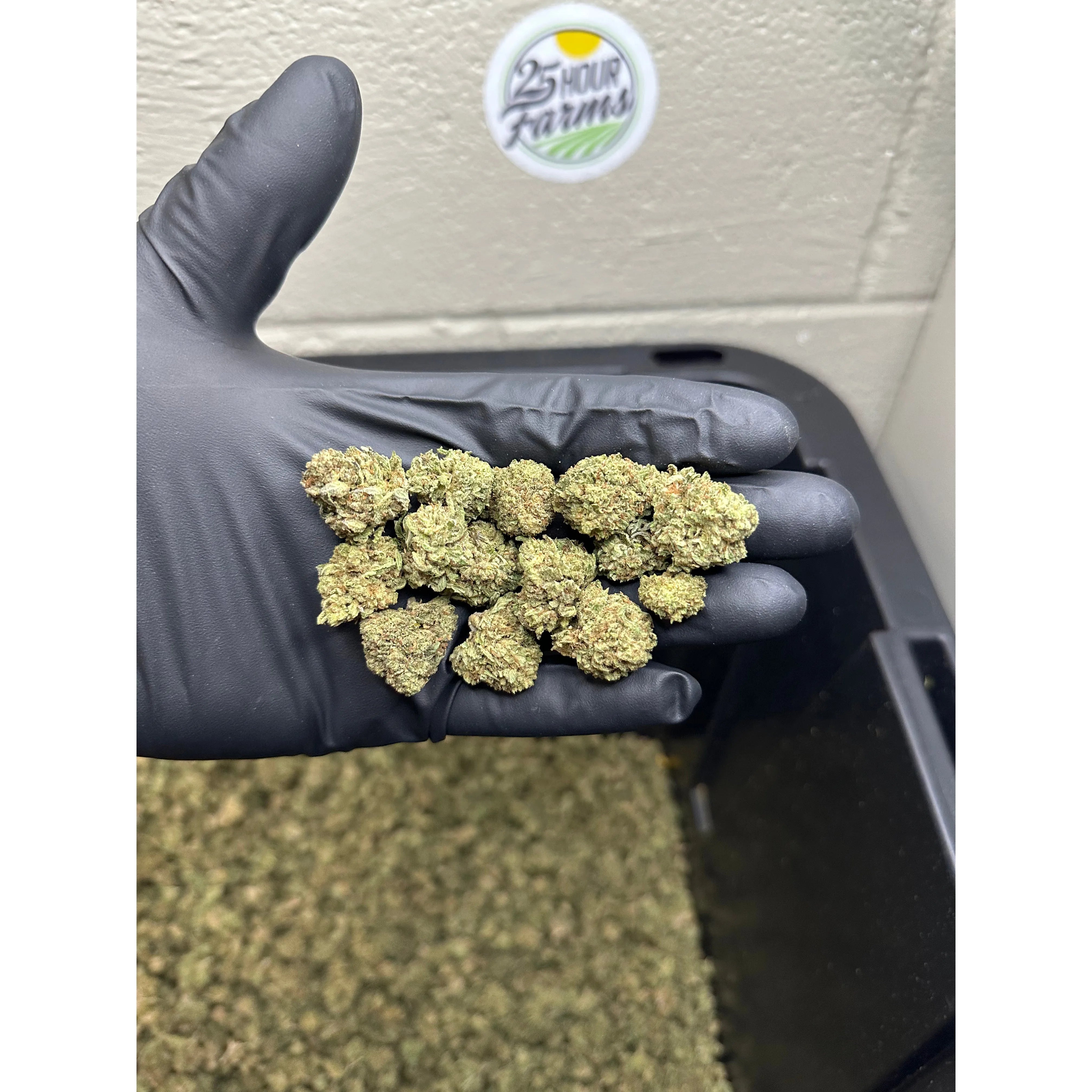 Lemon Runtz CBD Hemp Flower Smalls